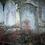 Coming to terms with your mortality once you have children