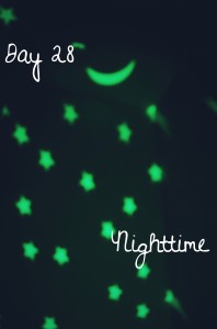 Day 28: Nighttime