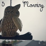 Day 5: Morning Sky