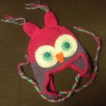 Expert Crafts Crochet Owl Hat