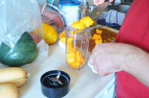 Making Papaya Baby Food