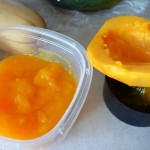 Making Papaya Baby Food