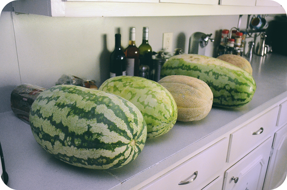 Watermelon and Canteloupe