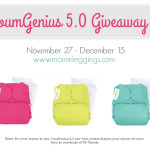 bumGenius 5.0 One-Size Cloth Diaper Giveaway